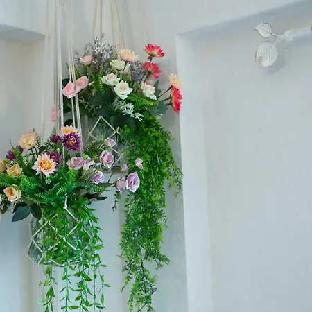 Anna Apartment